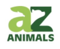 AZ logo